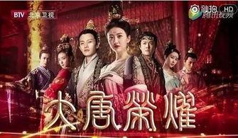 大唐荣耀一在线观看,宫廷风云，爱恨交织的传奇人生